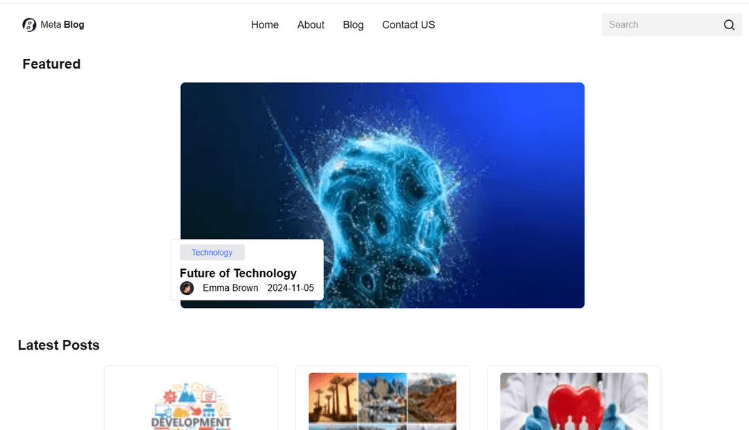 MetaBlog